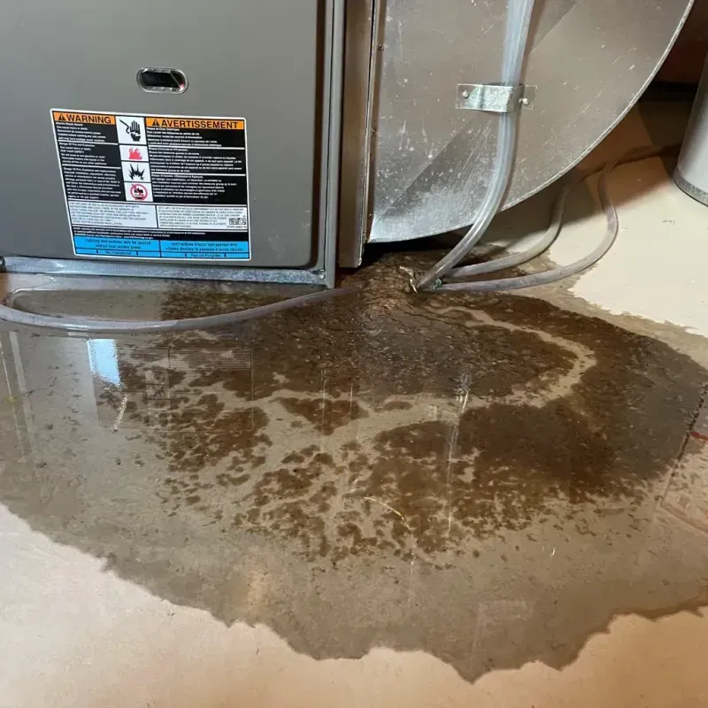 Appliance Leak Cleanup in Cabell County, WV